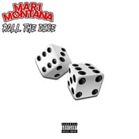 Roll the Dice