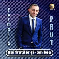 Hai fraților și-om bea