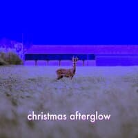 Christmas Afterglow