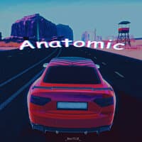 Anatomic