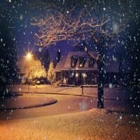 Night with snow