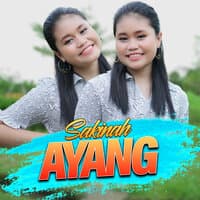 Ayang