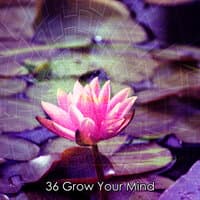 36 Grow Your Mind