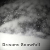 Dreams Snowfall