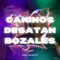 Caninos Desatan Bozales