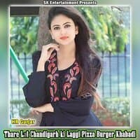 Thare Lat Chandigarh ki Laggi Pizza Burger Khabadi