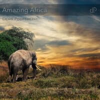 Amazing Africa