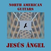 North American Guitars