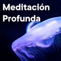 Meditación Profunda