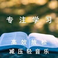 专注学习 高效放松 减压轻音乐