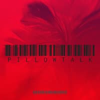 Pillowtalk