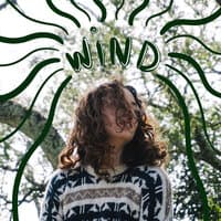 Wind