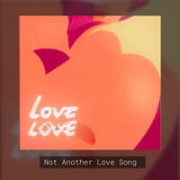 Not Another Love Song