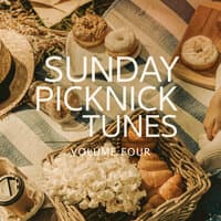 Sunday Picknick Tunes, Vol. 4