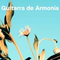 Guitarra de Armonía