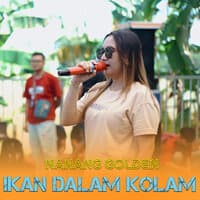 Ikan Dalam Kolam