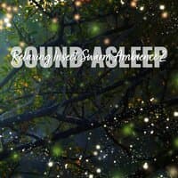 Sound Asleep: Relaxing Insect Swarm Ambience 2