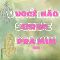 Você Não Serve pra Mim