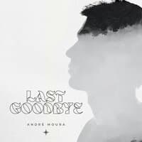 Last Goodbye