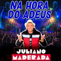 Na Hora do Adeus