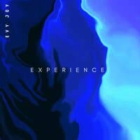 Experience