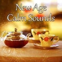 New Age Calm Sounds – Relaxing New Age Music, Nature Sounds, Spirit Free, Stress Relief