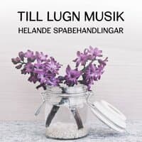 Till lugn musik: Helande spabehandlingar - Total vila och förnyelse, Rengöra din kropp och själ från dålig energi, Minska stress, Finna inre frid, Ta en regenereringsslummer