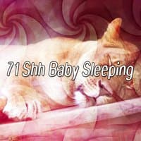 71 Shh Baby Sleeping