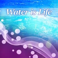 Water is Life – Nature Sounds for Relaxation, Soothing Water, Restful Music, Healing Time