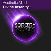 Divine Insanity