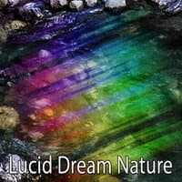 Lucid Dream Nature