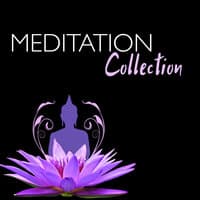 Meditation Collection - 50 Spa & Yoga Music, Vibrational Healing Frequencies for Chakra Alignment