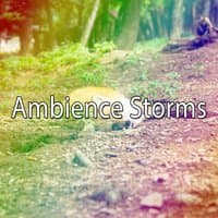 Ambience Storms