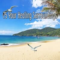 75 Your Healing Surroundings