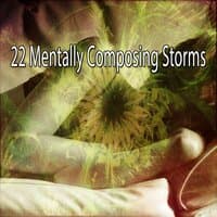 22 Mentally Composing Storms