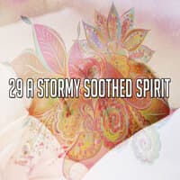 29 A Stormy Soothed Spirit