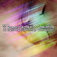 73 Remove Insomnias Corruption