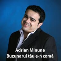 Buzunarul Tău E-N Comă