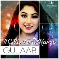 Gilla Tera Karye - Single