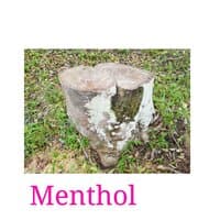 Menthol