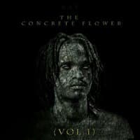 The Concrete Flower, Vol.1