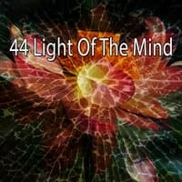 44 Light of the Mind