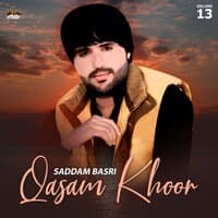 Qasam Khoor, Vol. 13