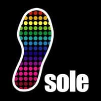 Solevisions Sampler