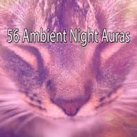 56 Ambient Night Auras