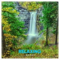 #19 Relaxing Noises for Asian Spa, Meditation & Yoga