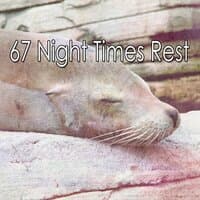 67 Night Times Rest