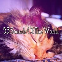 53 Sounds Of The World