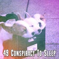 49 Conspiracy To Sleep