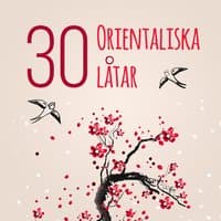 30 Orientaliska låtar: Asiatisk zen musik för buddistisk meditation, Stillhet och omgivnings koppla